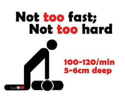 CPR 1 not-too-fast-not-too-hard